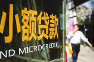 融资担保、典当行