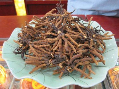 兑铺回收冬虫夏草的三个使用方法