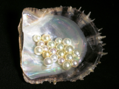 轻奢珍珠之海水珠