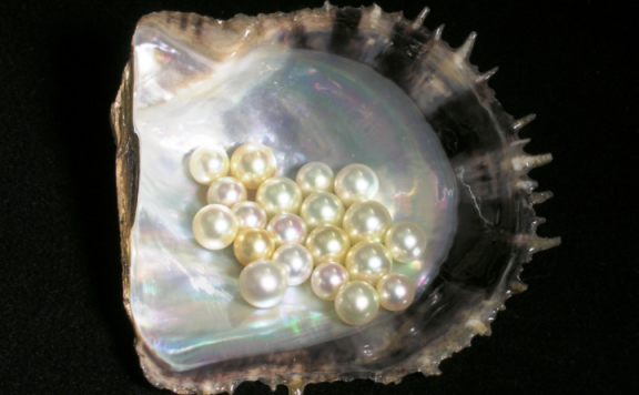 轻奢珍珠之海水珠